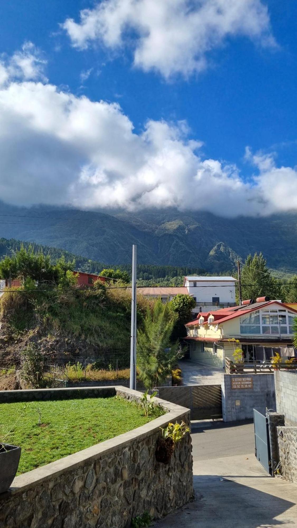 Villa Des Pins By Kaz'Ida Cilaos Exteriér fotografie